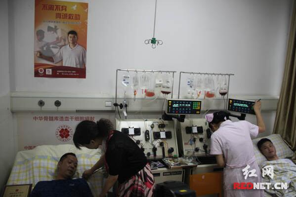 永州志愿者成功捐献造血干细胞挽救白血病儿童